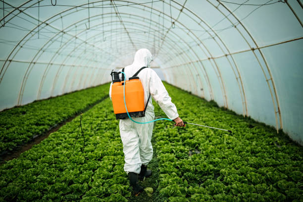 Best Mosquito Control Services  in Buna, TX