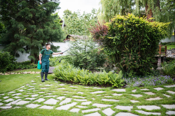 Best Affordable Pest Control Services  in Buna, TX