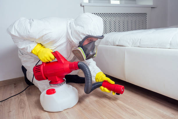 Best Pest Prevention Services  in Buna, TX