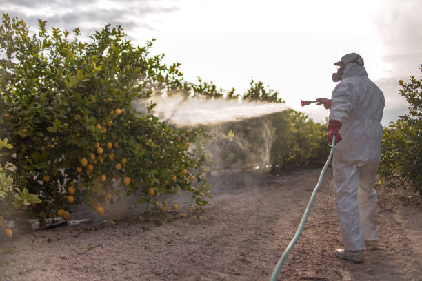 Best Wildlife Control Services  in Buna, TX