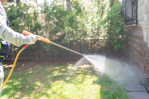 Best Emergency Pest Control  in Buna, TX