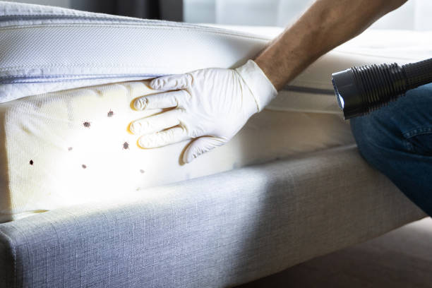 Best Best Pest Control Companies  in Buna, TX