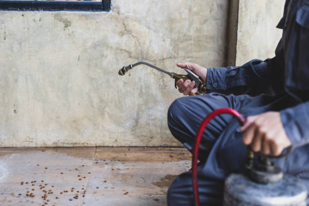 Best Pest Removal Services  in Buna, TX