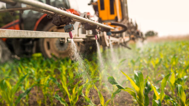 Best Best Pest Control Companies  in Buna, TX