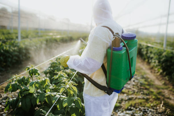 Best Residential Pest Control  in Buna, TX